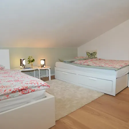 Innsbruck-vill * 因斯布鲁克