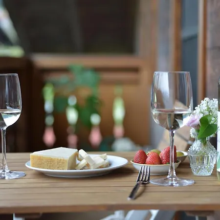 Innsbruck-vill 因斯布鲁克